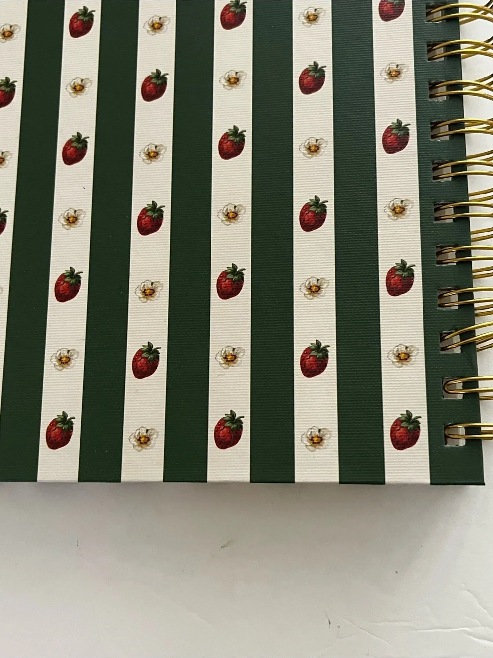 Punch Studio Ringed Note Book NWT